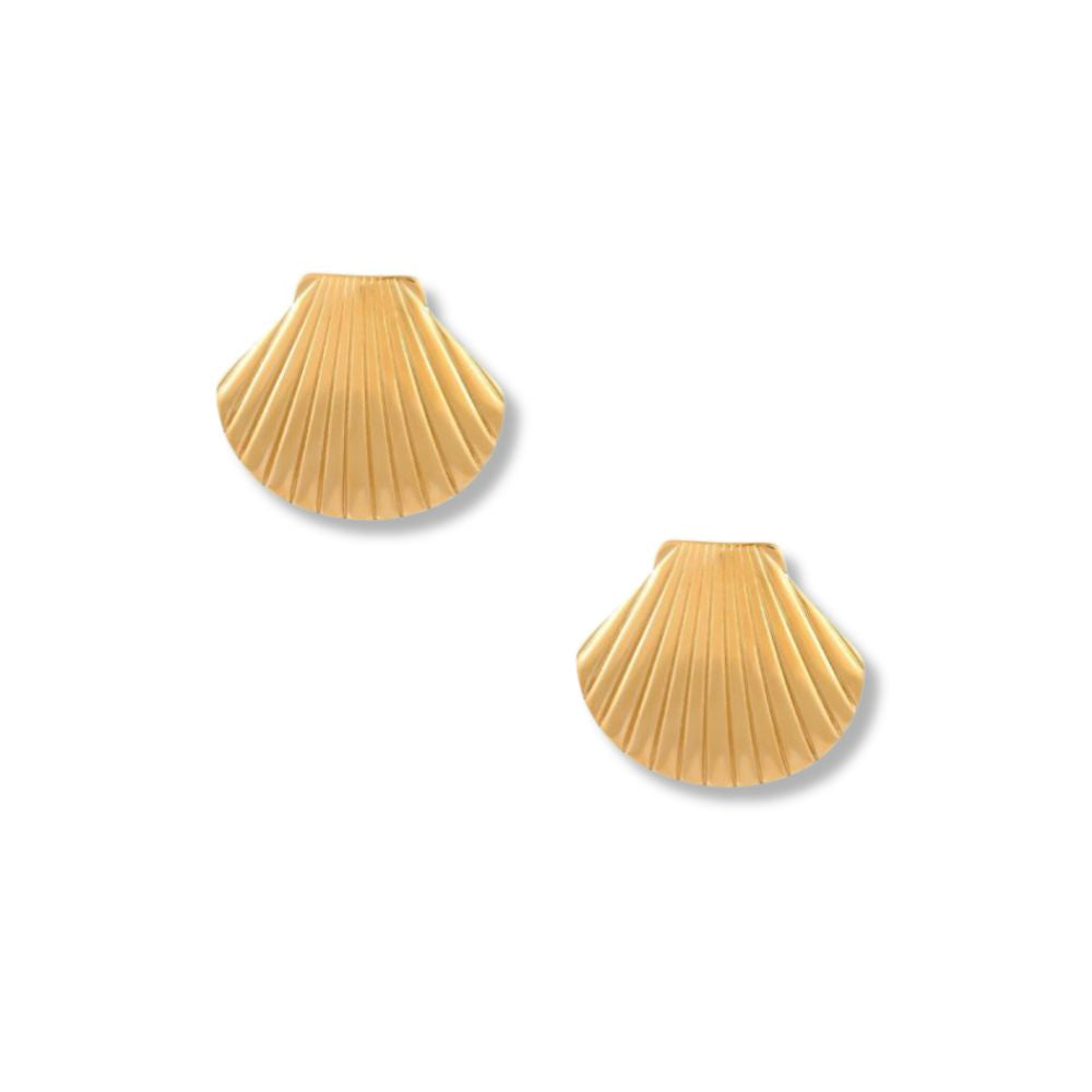 Aretes Shell Studs
