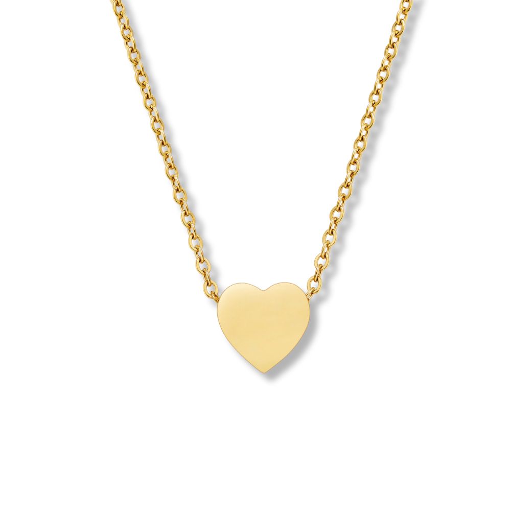 Collar Titanium Heart
