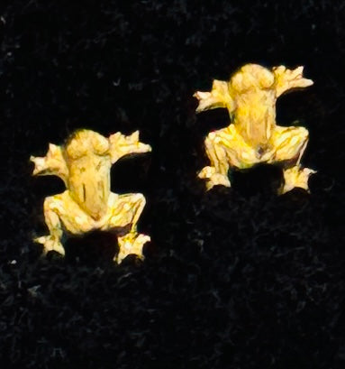 Broquel Rana Dorada