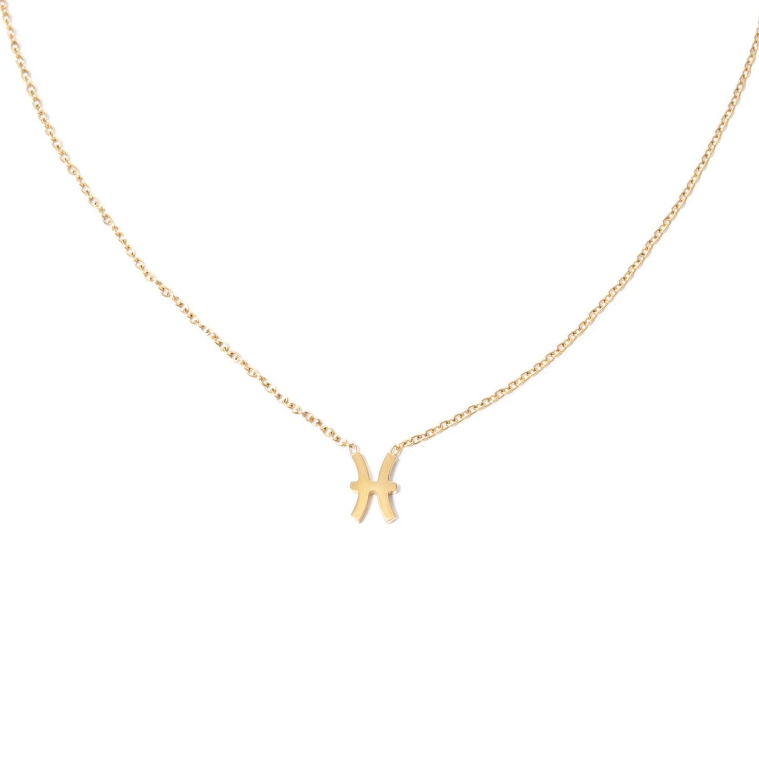 Collar Piscis Acero